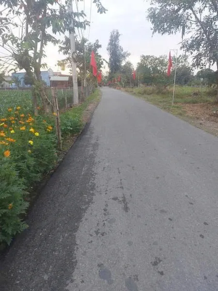 Bán lỗ đất mặt tiền đường nhựa Trung Hưng – Trung Lập Thượng, Củ Chi.