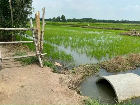 Bán đất vườn siêu rộng – 1 sẹc Cầu Xóm Thuốc, xã Tân An Hội, Củ Chi