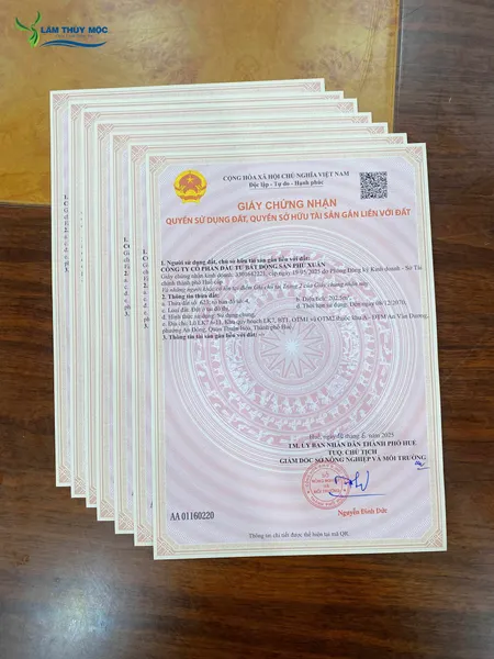 🔥 CHẠM NGƯỠNG MƠ ƯỚC – NHÀ 4 TẦNG TRUNG TÂM HUẾ, GIÁ CHỈ TỪ 7,X TỶ, SỔ RIÊNG – KHÔNG MUA PHÍ CẢ ĐỜI! 🔥
