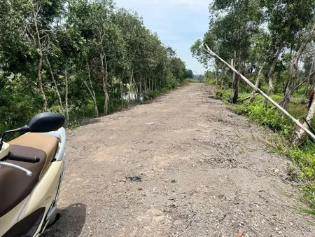 Cần tiền bán lô đất vườn mặt tiền đường kênh, Tân Thạnh Tây, Củ Chi – DT 3.300m² – Giá 3,3 tỷ