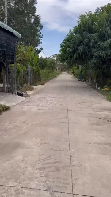 Cần tiền trả ngân hàng