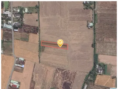 Bán đất 1987.2m² tại Xã Tân Trung Thị xã Gò Công