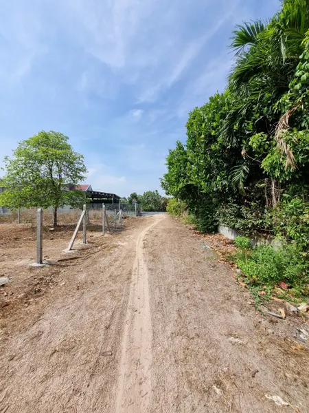 (B354) Đất 1/ Bùi Thị Điệt, xã Nhuận Đức, dt 3.074m2, thổ 290m2, giá 8 tỷ 200 thương lượng