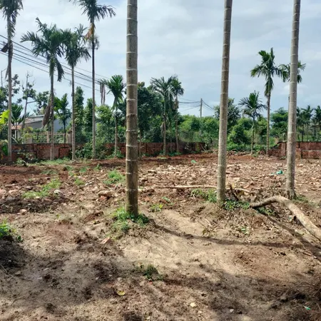 Bán đất 312m² ngang 5m giá 135 triệu Xã Ea Na