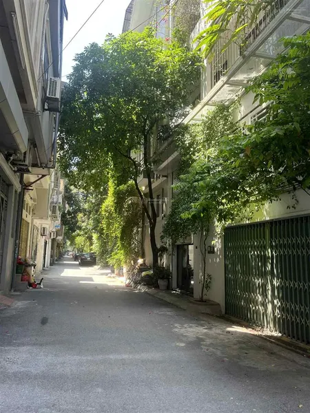 Siêu phẩm phân lô nghi tàm ô tô tránh mặt tiền 9m nội thất đẳng cấp ở ngay