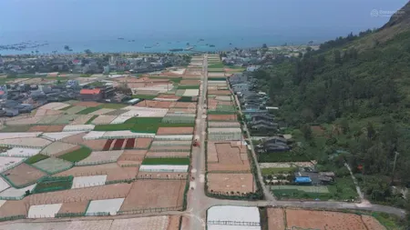 Bán nhà riêng an hải, lý sơn, quảng ngãi, giá tốt 253m2 full thổ cư