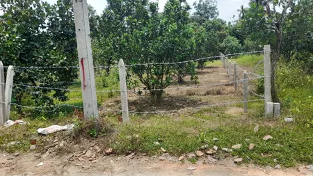 Chính chủ cần bán đất sổ hồng, bao sang tên