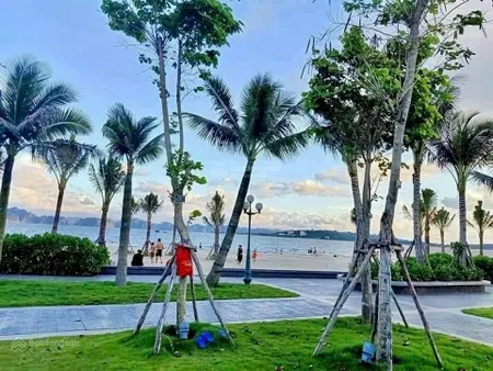 Cắt lỗ 200tr căn hộ view biển full nội thất sẵn sổ đỏ dòng tiền 10001200k/ngày