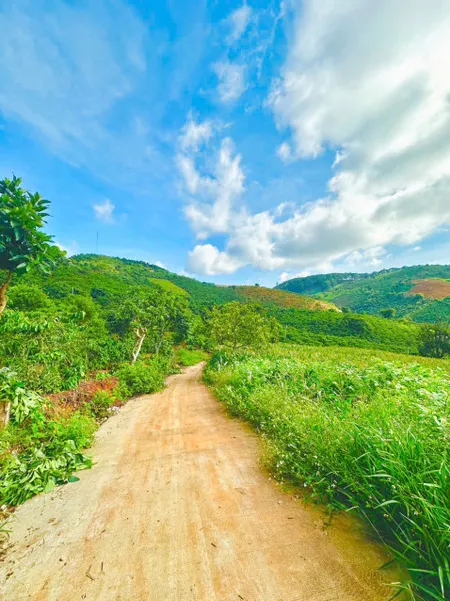 Bán đất Mê Linh, giáp ranh TP Đà Lạt chỉ 1.36 tỷ view săn mây