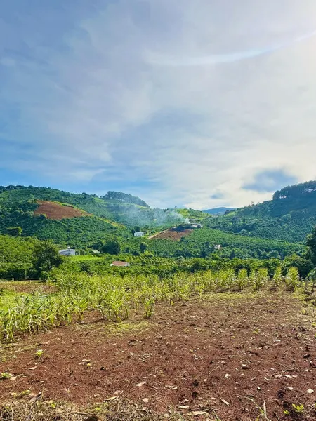 Bán đất Mê Linh, giáp ranh TP Đà Lạt chỉ 1.36 tỷ view săn mây
