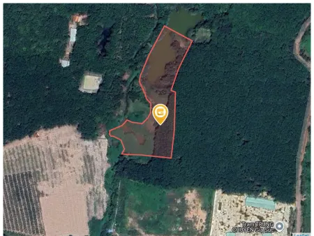 Bán đất 18000m² giá 8 tỷ Xã Phước Thành (Phước Sang cũ)