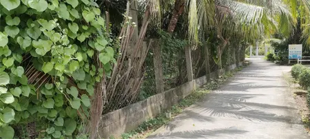 ĐẤT ĐẸP - GIÁ TỐT - Bán GẤP Lô Đất Tiềm Năng Tại Xã Long An, Châu Thành, Tiền Giang