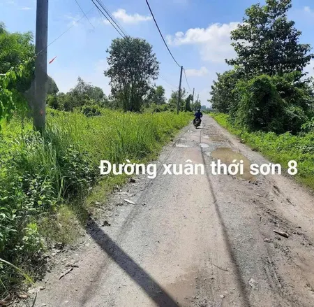 BÁN 36.535m² ĐẤT NÔNG NGHIỆP – MẶT TIỀN XUÂN THỚI SƠN 8, HÓC MÔN