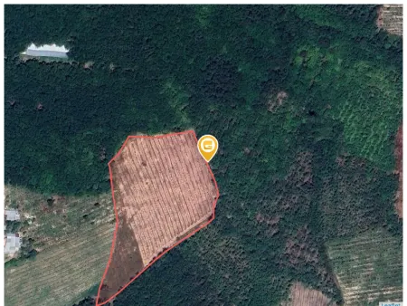 Bán đất 250m² ngang 5m giá 500 triệu Xã An Long