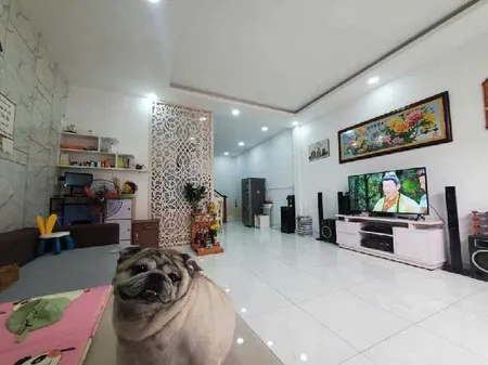 HOÀNG HOA THÁM BÌNH THẠNH - 60M2, 3 TẦNG - NHÀ MỚI ĐẸP - GIÁ NHỈNH 6 TỶ