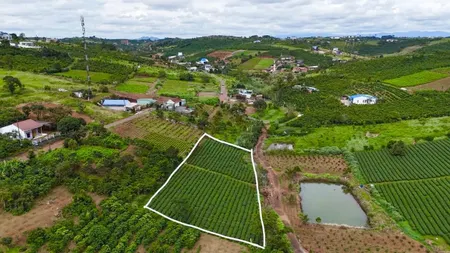 Quá thơm❗️
Bán đất Tôn Thất Thuyết, Dambri, Bảo Lộc