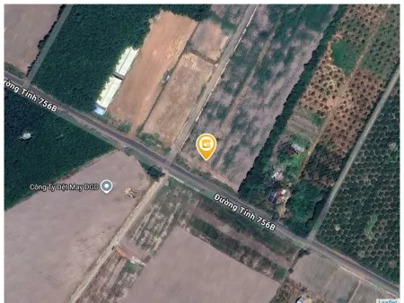 Bán đất 242.5m² ngang 5m giá 550 triệu Xã Nha Bích