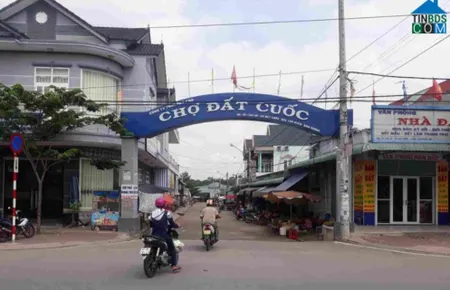 ĐẤT LỚN 91.000m² – 400m² THỔ CƯ – BẮC TÂN UYÊN, BÌNH DƯƠNG – GIÁ CHỈ 85 TỶ