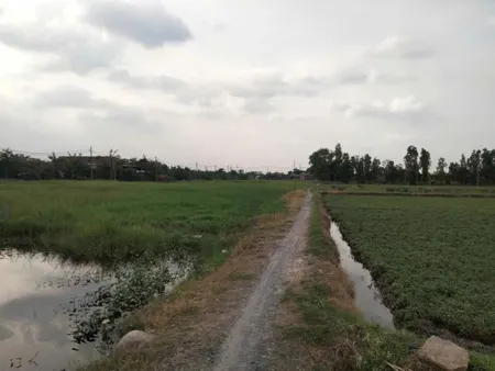 CẦN BÁN ĐẤT NÔNG NGHIỆP – XÃ BÀ ĐIỂM, HÓC MÔN