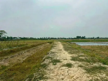 BÁN ĐẤT NÔNG NGHIỆP GIÁ TỐT – ẤP 2, XUÂN THỚI THƯỢNG, HÓC MÔN