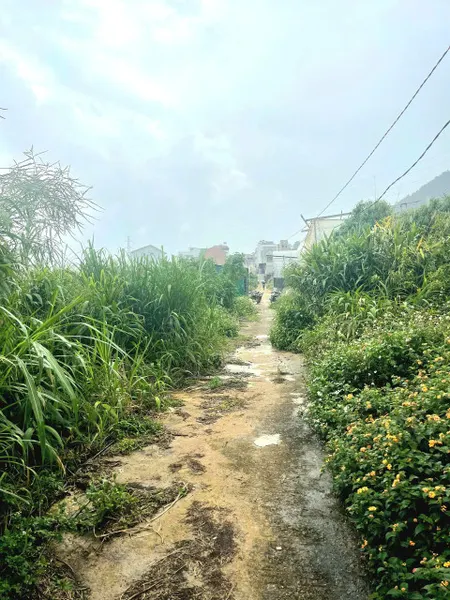 Bán đất khu dân cư hẻm xe hơi gần trung tâm Đà Lạt, đi Hồ Xuân Hương hơn 4km