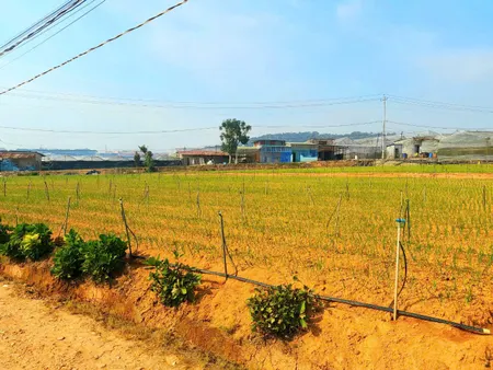 Bán đất đẹp khu dân cư hẻm xe hơi 5m gần khu du lịch Thung Lũng Tình Yêu