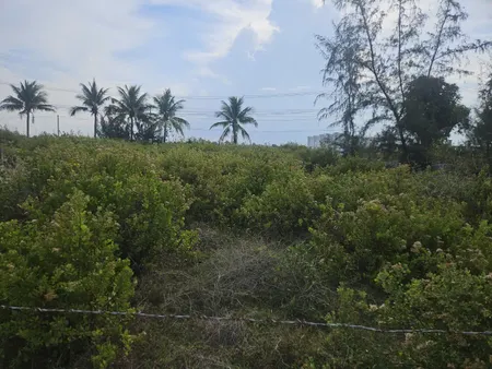 0984648677 Bán đất 123m² giá 1.97 tỷ Phường Đông Ninh Hòa