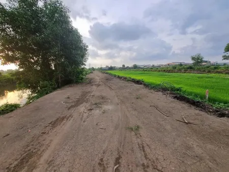 BÁN ĐẤT LÚA MẶT KÊNH – HỒ VĂN TẮNG, XÃ TÂN THẠNH ĐÔNG