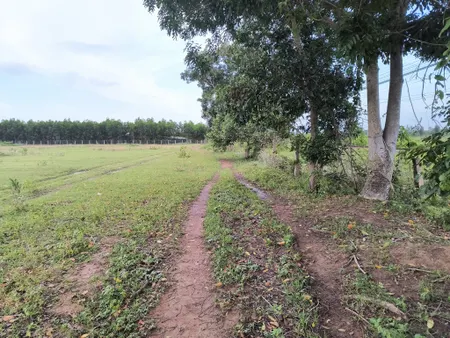 Bán đất 40000m² ngang 127m giá 6.8 tỷ Xã Hàm Liêm