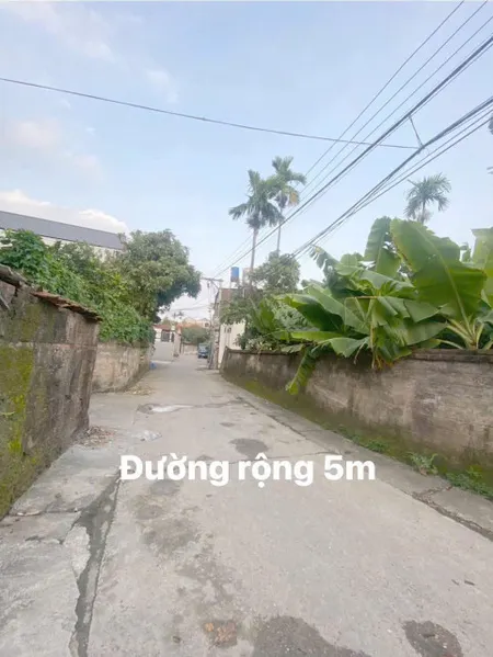 Bán lô đất đẹp 80m2 tại thôn Nam Võng Ngoại, xã Võng Xuyên, Phúc Thọ