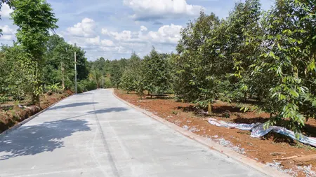 Chính chủ. 125m2 Full thổ cư đường Bê-tông. Tổng 445Tr cách đường HCM 700m