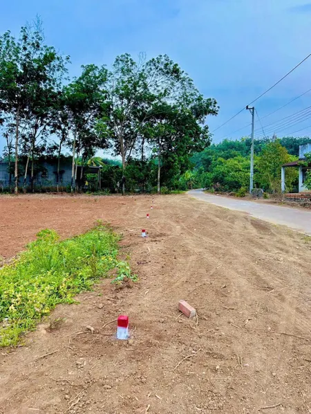 Đầu tư sinh lời cao