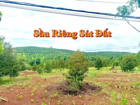 Bán đất 150m² giá 139 triệu Xã Tam Giang