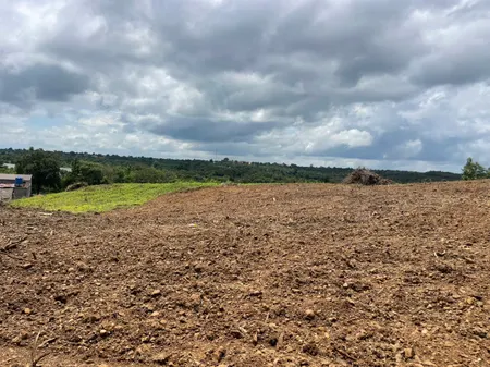 Bán đất 12000m² giá 960 triệu Xã Ea Kiết
