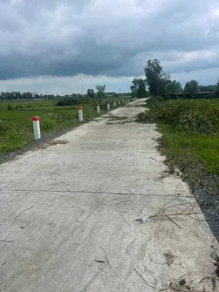 Nhà mặt tiền Long Hòa, xã Phước Vân, Cần Đước dt 1330m2 full thổ giá 13 tỷ