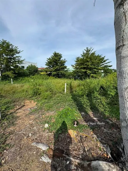 Bán gấp đất mt đường nguyễn văn trị, gần chợ đại phước, nhơn trạch, đồng nai. dt 120m2/600triêu shr