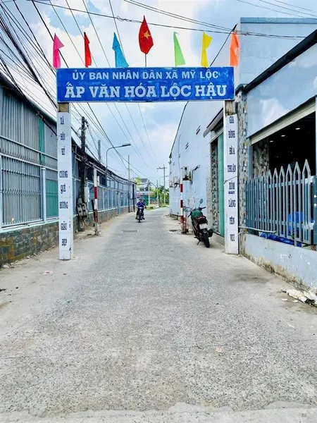 Bán đất mặt tiền đường nhựa cộng đồng lộc hậu, cần giuộc, long an, 1,4 tỷ, 119 m2 shr