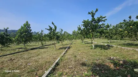 1,6tr/m2 tại Bảo Hiệu, Yên Thủy, Hòa Bình (nay là Lạc Lương, Phú Thọ)