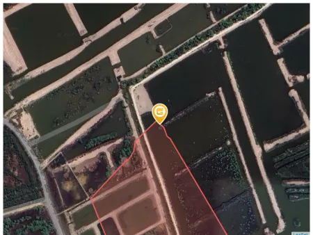 Bán đất 53743,0m² giá 54000 tỷ Xã An Thới Đông