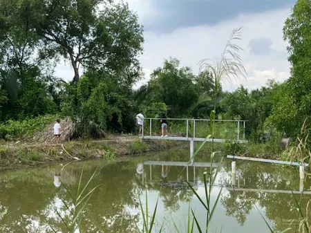 Bán đất trồng cây mặt tiền đường liên ấp 3 4, xã hiệp phước, nhà bè, dt 2800m2, giá 7,5 tr/m2