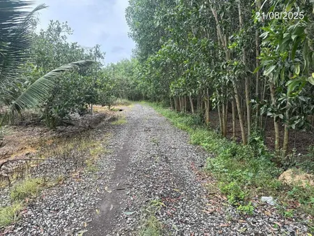 Chính chủ bán đất xuân bắc 11.000m2 mặt tiền 152m, 300m2 thổ cư
