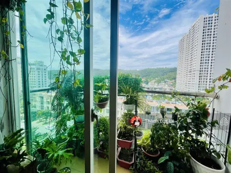 Do chuyển định cư không sử dụng nên cần bán căn hộ 2pn 68m2 trung tâm du lịch bãi cháy, hạ long.