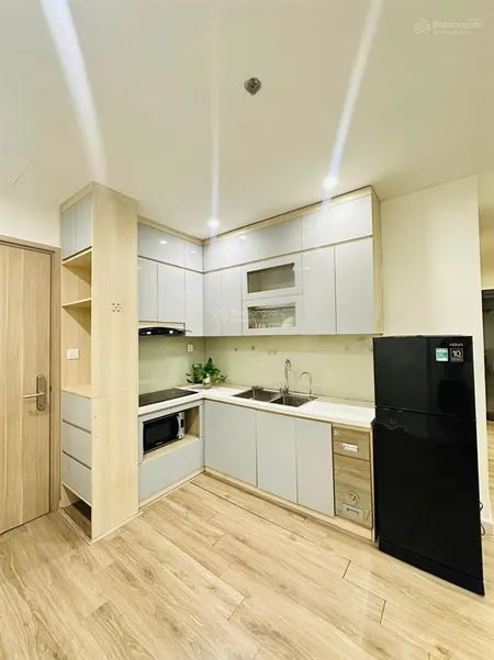 Chủ nhà cần tiền bán rẻ căn 2pn1wc tòa s2.06 trung tâm dự án nhiều tiện ích.