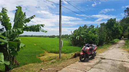 Bán 8 công đất ruộng gáo giồng cao lãnh mặt tiền