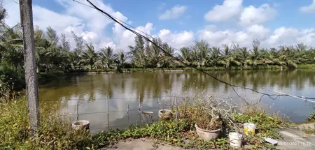 Bán lô đất trang trại 5000m2 tại huyện Kiến Thụy, Hải Phòng, phù hợp phát triển mô hình nông nghiệp, chăn nuôi hoặc đầu tư lâu dài.