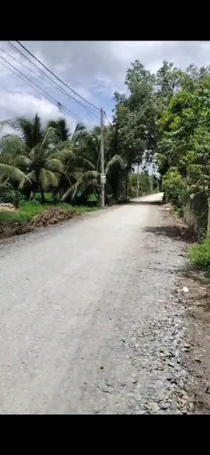 1000m2 mt năm chiến hựu thạnh