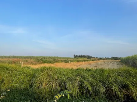 Bán đất 500m² ngang 17.8m giá 1.8 tỷ Xã Đại Phước