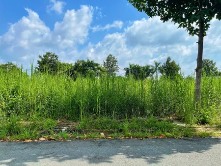 Bán đất khu saigon village 80m², đường 12m, giá 2.35 tỷ Xã Cần Giuộc