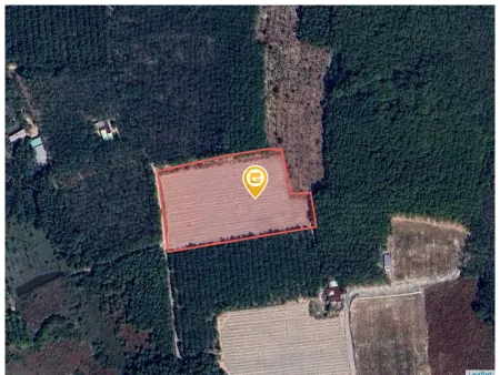 Bán đất 10007.3m² ngang 66m giá 3.2 tỷ Phường Chơn Thành