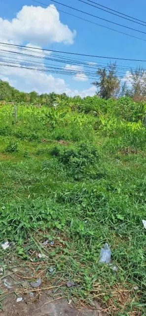 Bán đất 1288.6m² ngang 23.5m giá 4.47 tỷ Xã An Ninh
